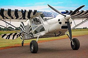BushCat (along with a few other brands) is a great example of how LSA prices are actually lower than once expected if compared in constant dollars.