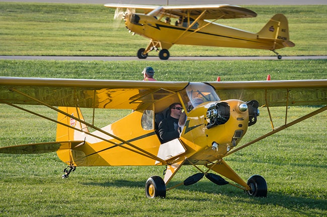 Two Piper Cubs