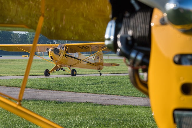 Piper Cub 