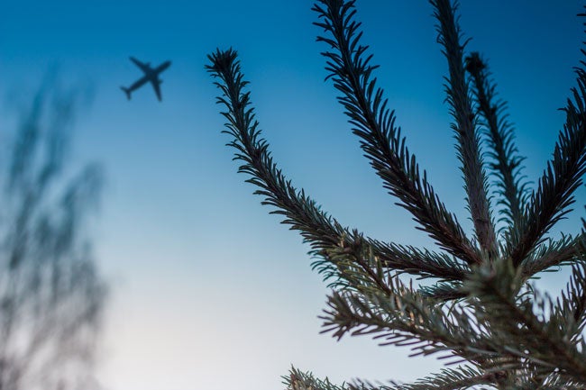 Christmas Miracle - plane in the sky in winter