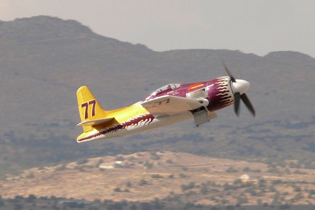 Rare Bear in 2007