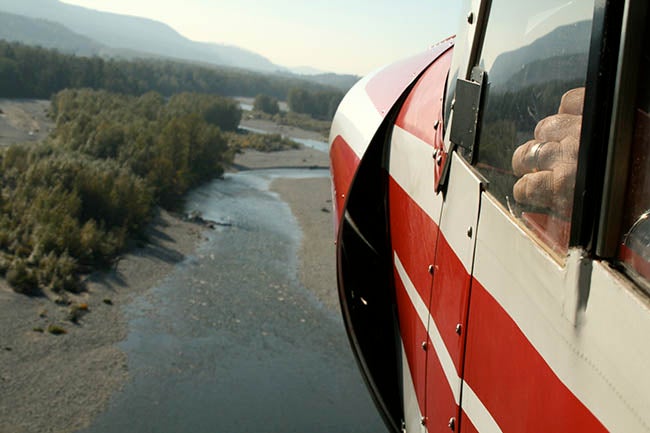 The view from a Super Cub