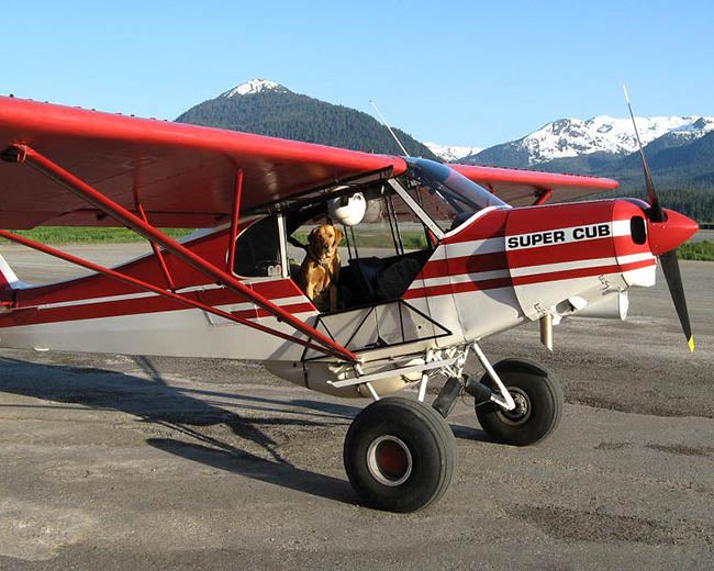 Piper PA-18 with dog pilot. 