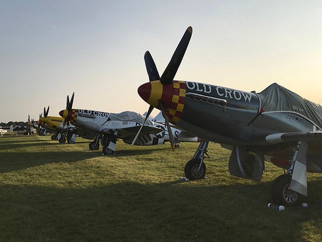 P-51s in the Early Morning