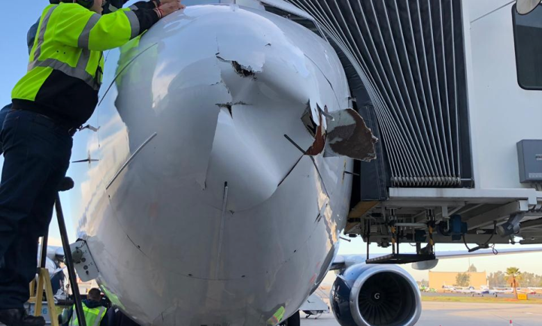 Airliner hit by possible drone