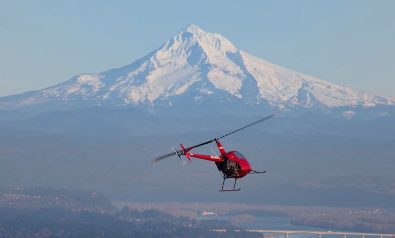 Robinson R22