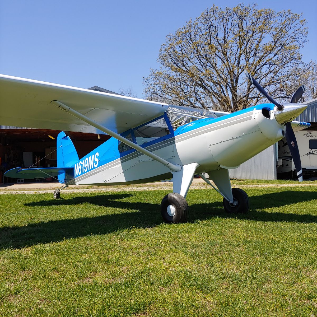 Bearhawk 5