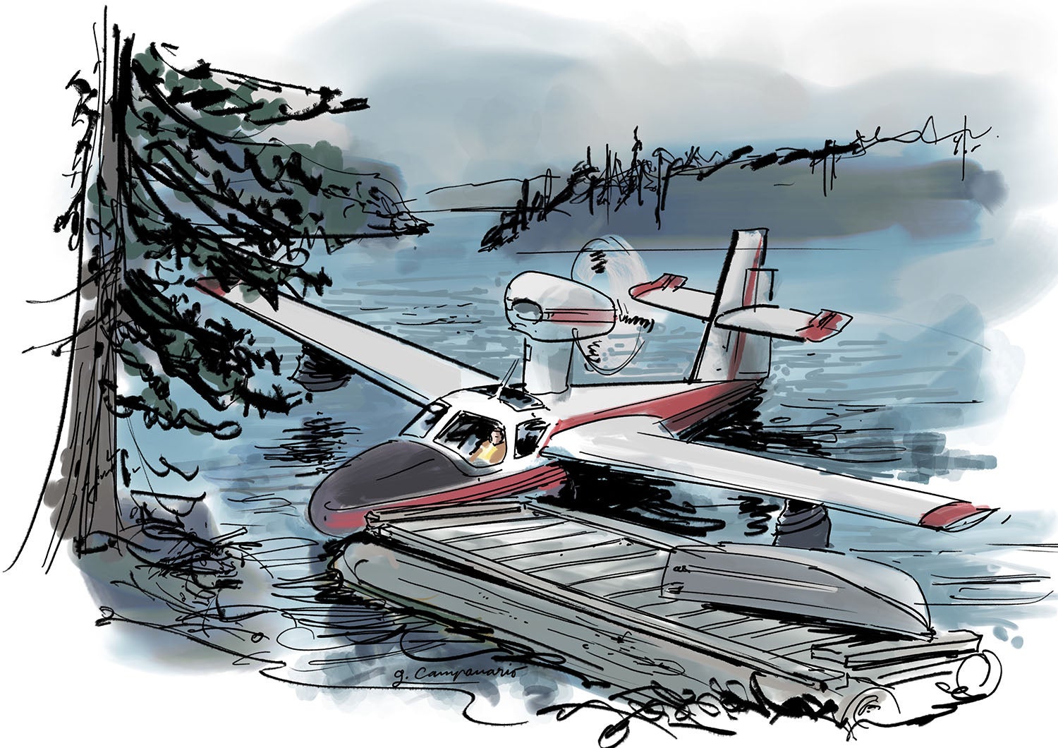 Lake Amphibian illustration by Gabriel Campanario