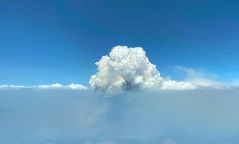 Pyrocumulus Cloud