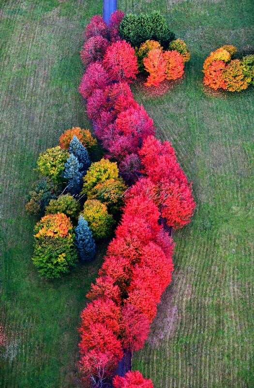 Snoqualmie, Washington. Photo by Long Bach Nguyen