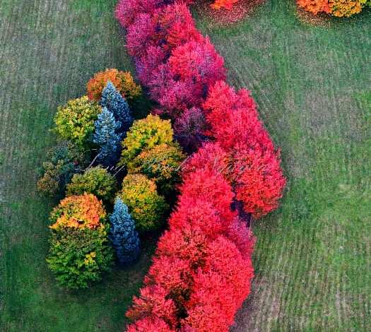 Snoqualmie, Washington. Photo by Long Bach Nguyen