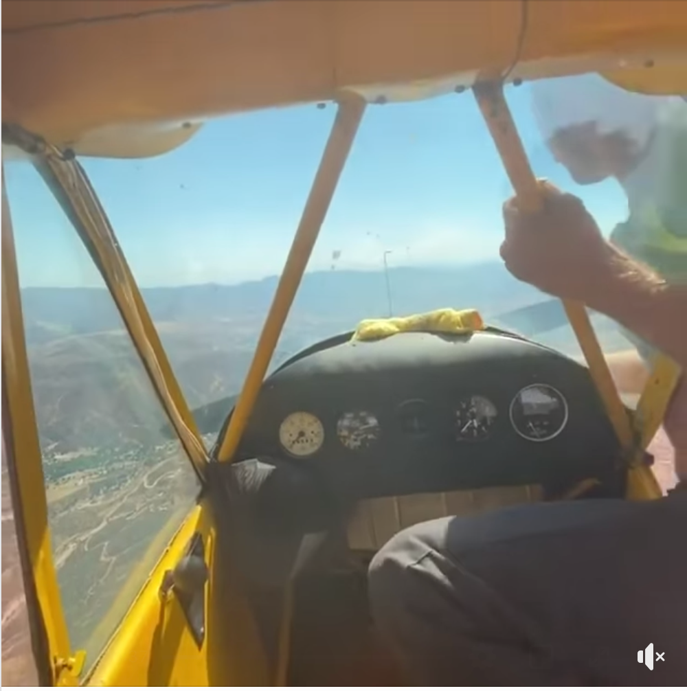 A man hand props a cub midflight.