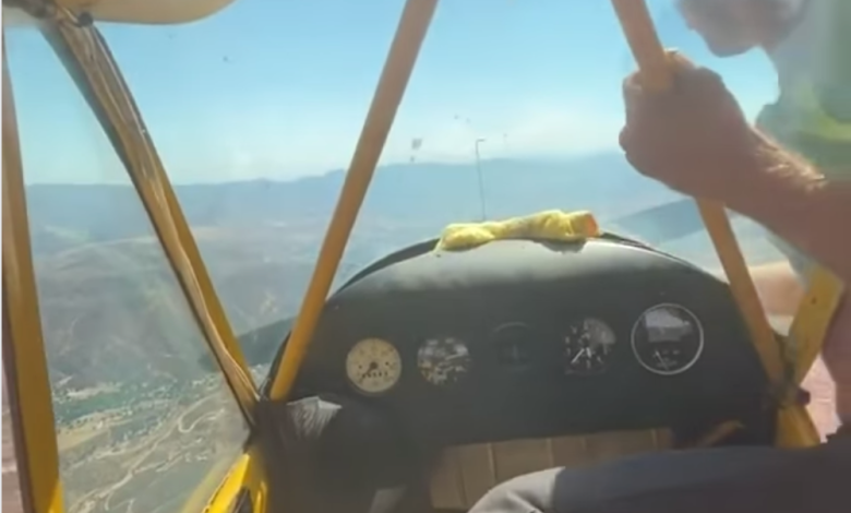 A man hand props a cub midflight.