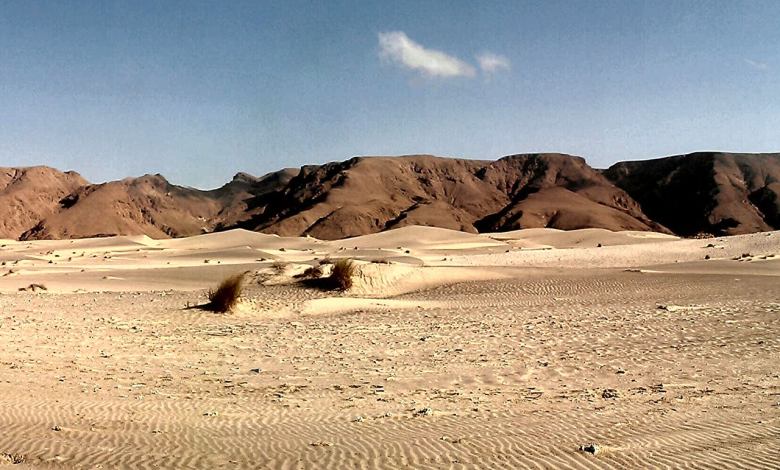 A desert scene in Somaliland. Photo courtesy of Wikimedia Commons