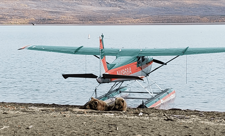 Wildlife Preflight Complications by Brian Boe