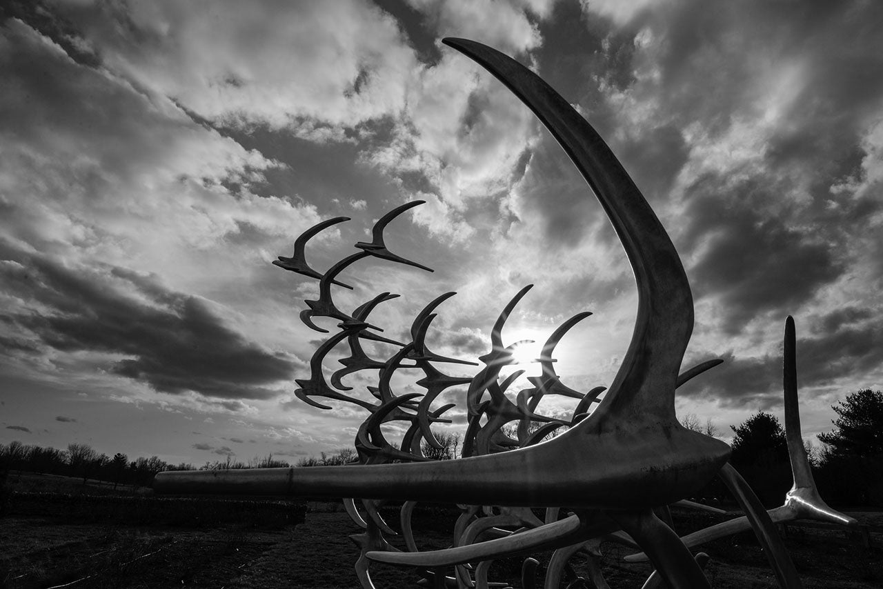A memorial erected to the 49 victims of Comair Flight 5191, which crashed while taking off in Lexington, Kentucky, in 2006, after accidentally using a too-short runway. Only the co-pilot survived.