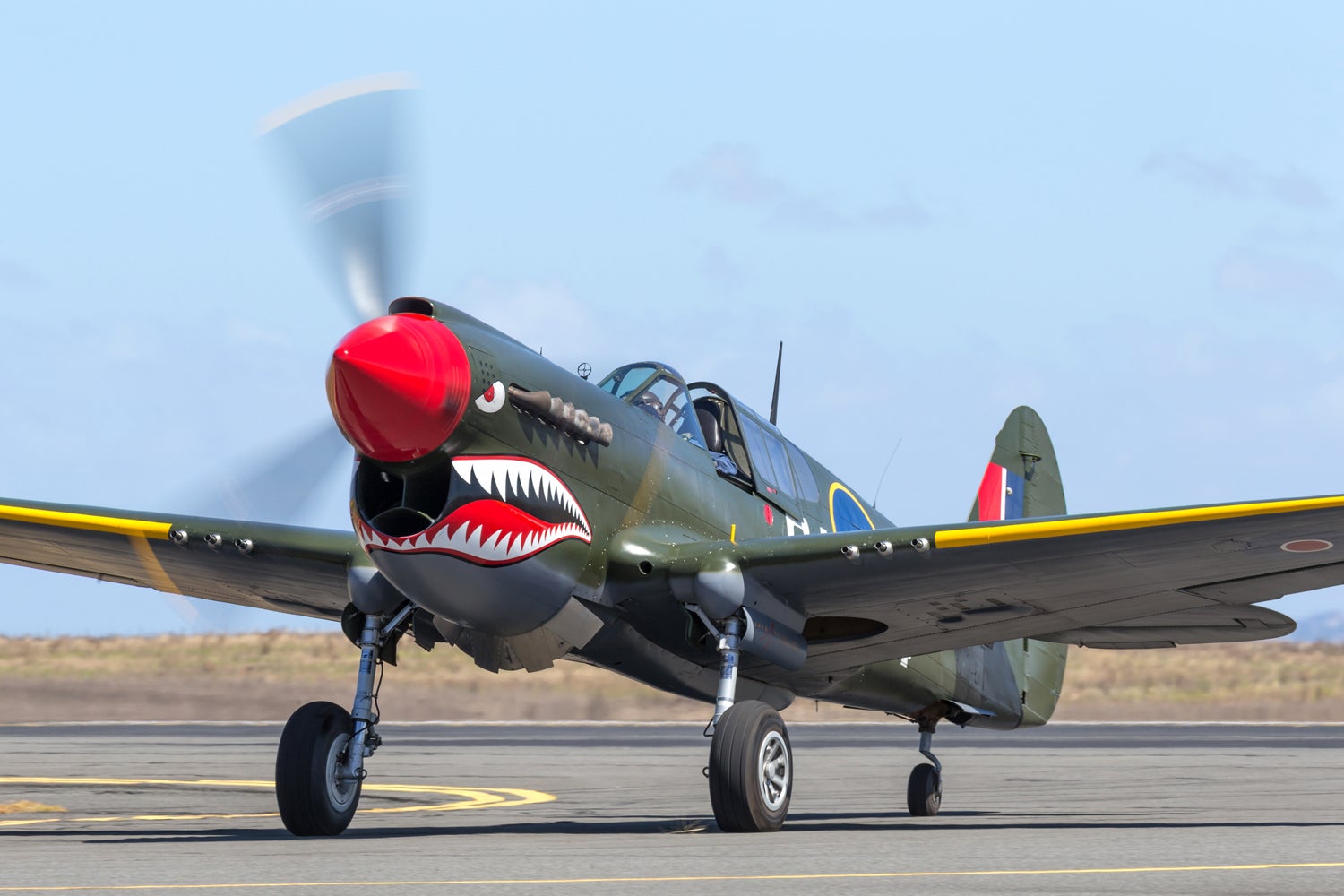 The Future of Warbird Flying