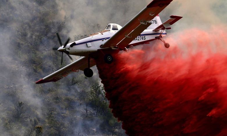 Containing the Flames by Michael Morse