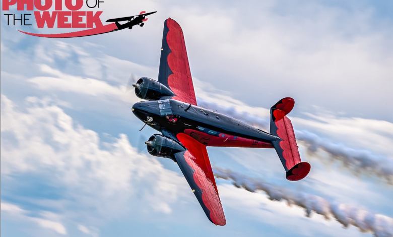 Photo of the Week May 3: Beech Twin