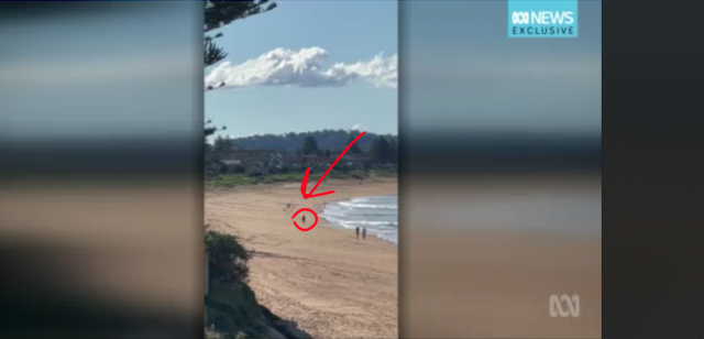 A screenshot of a plane making a no-engine beach landing.