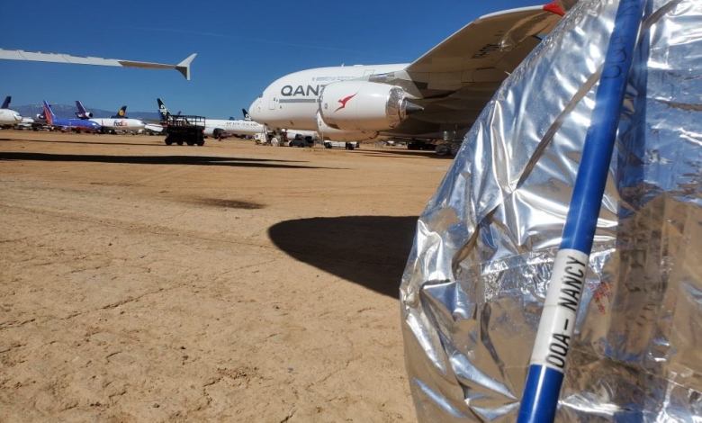 Deadly Snakes Love The World’s Biggest Plane. Enter The Whacking Stick!