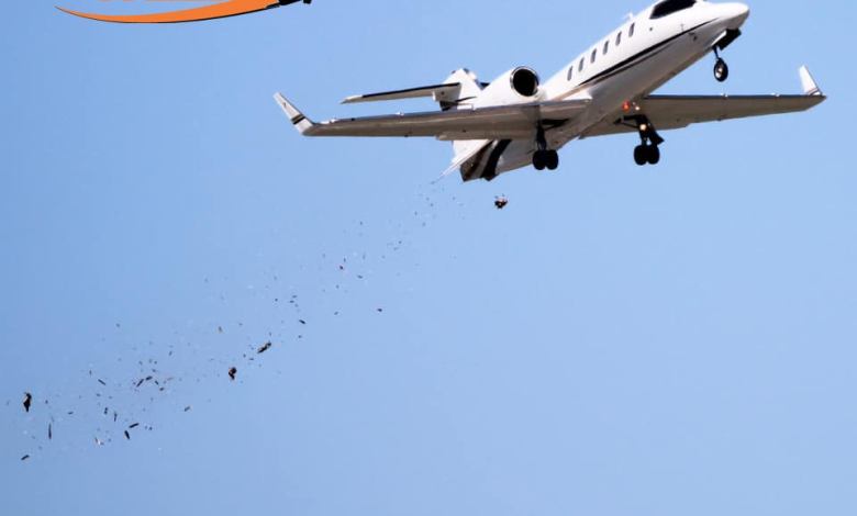 Learjet Bird Strike