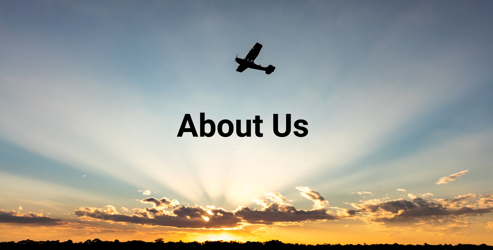 About Plane & Pilot