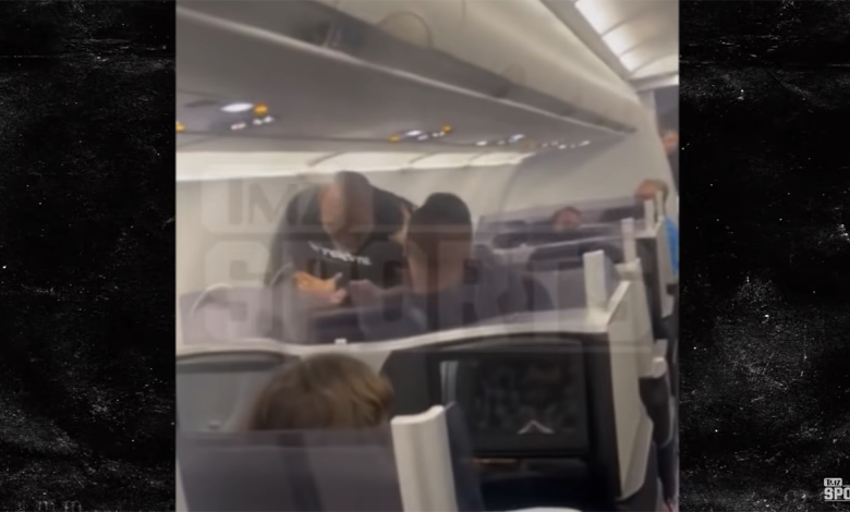 Mike Tyson Repeatedly Punches Fellow Passenger