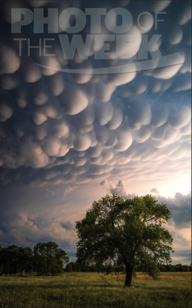 Photo of the Week: Oklahoma Mammatus 