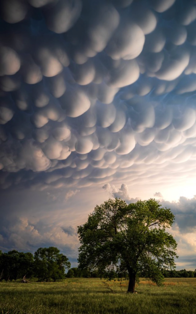 Photo of the Week: Oklahoma Mammatus