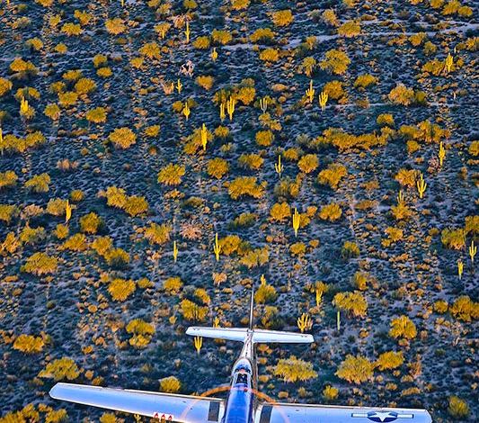 P-51, Arizona Sunset Richard King - 2021 Your Flying World