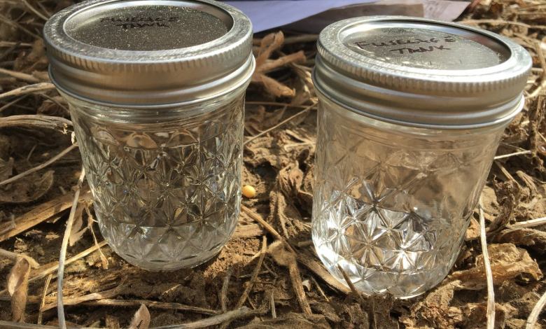 Jars of Jet A kerosene taken from the airplane - Misfueling Leads To Disaster in Kokomo, Indiana