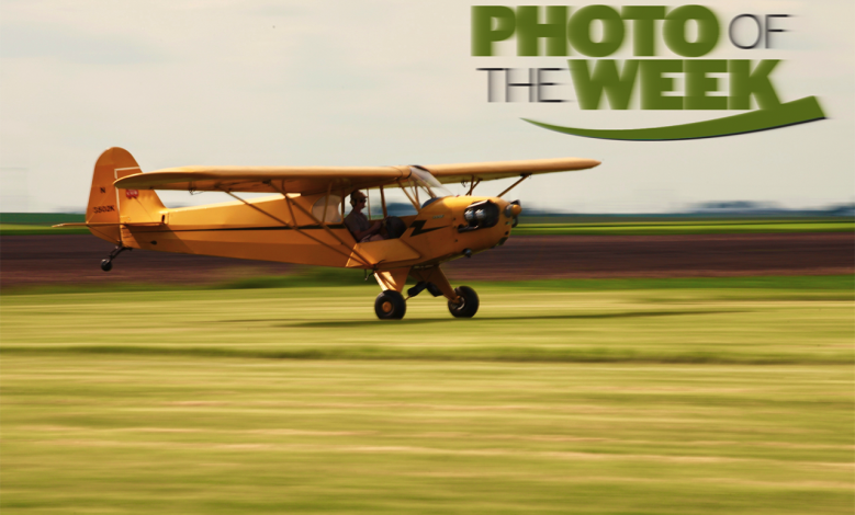Photo of the Week: Timeless Cub