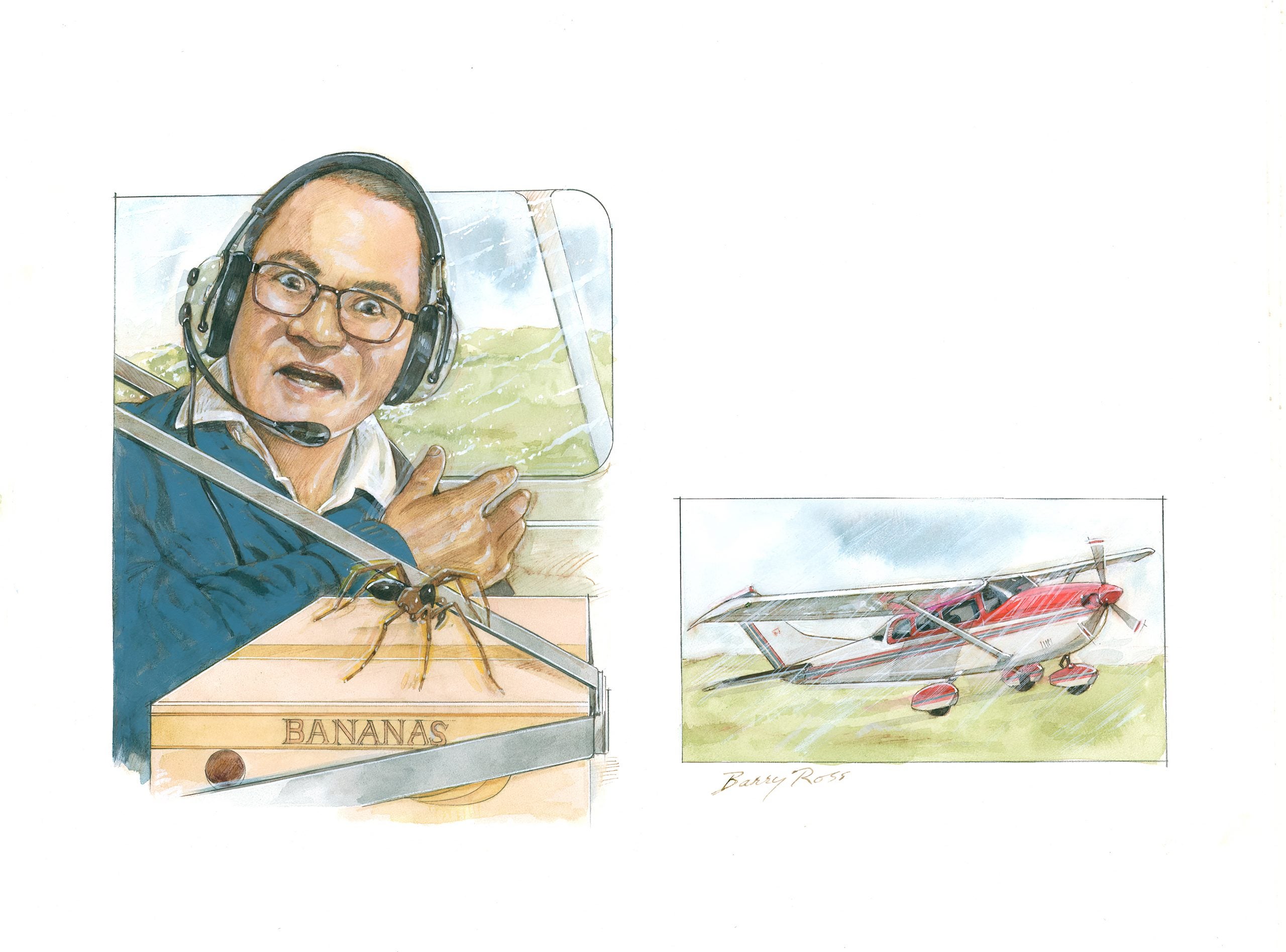 Flying With A Recluse Spider Onboard