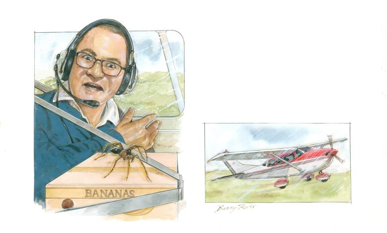 Flying With A Recluse Spider Onboard