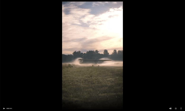 Cub Vortices in the Mist
