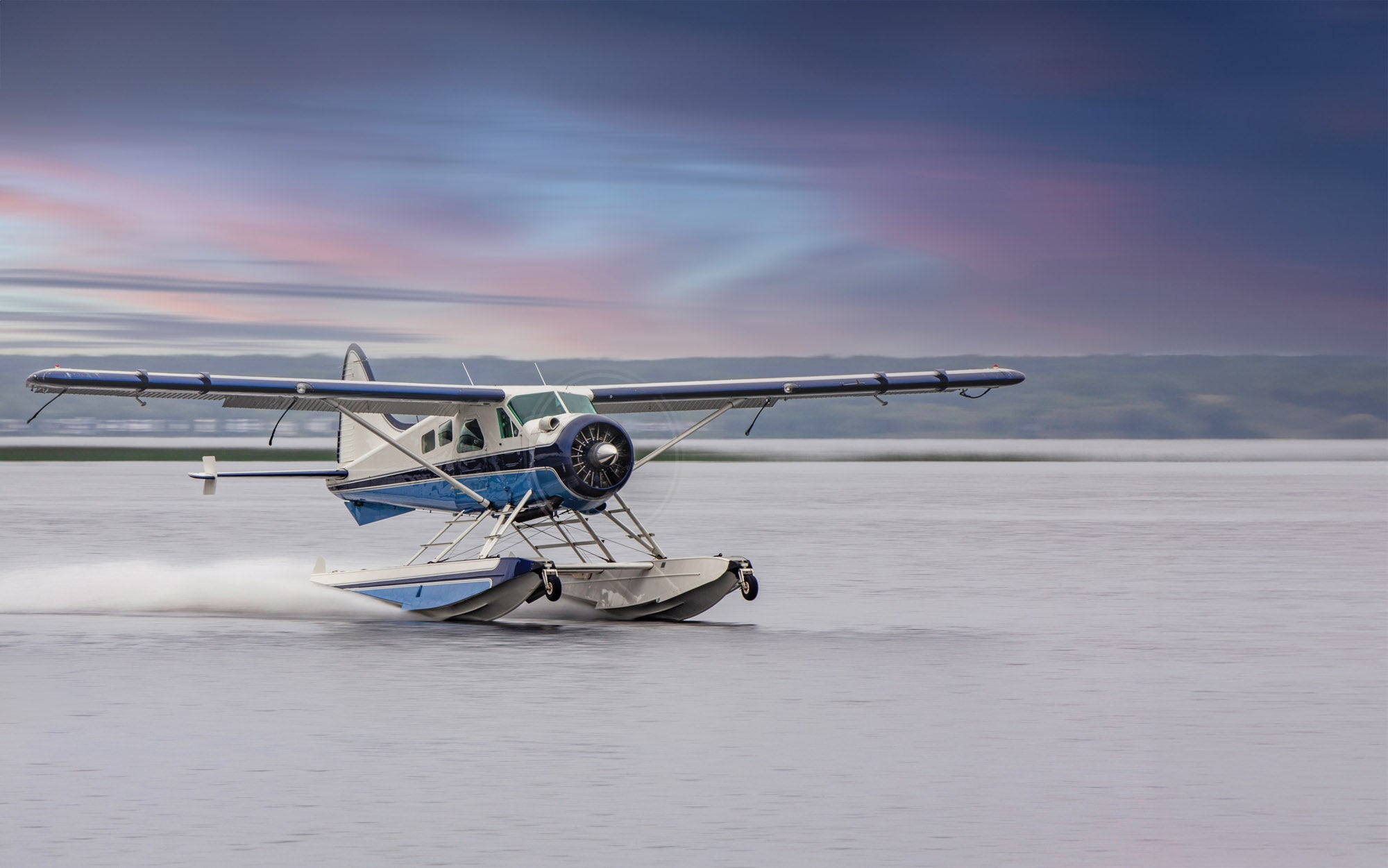 De Havilland DHC-2 Beaver - Plane + Pilot