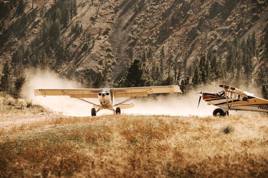 Aviat Huskies are one of the more frequently spotted types in the backcountry. [Credit: Jordan Lefler]