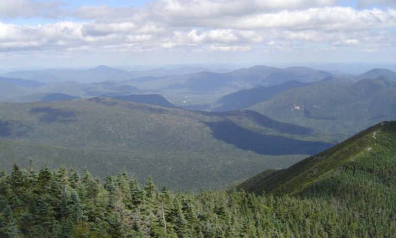 [Credit: Wikimedia Commons]