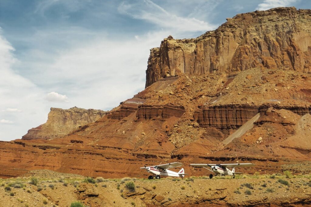 Cubs enjoy the view in Hidden Splendor, Utah.