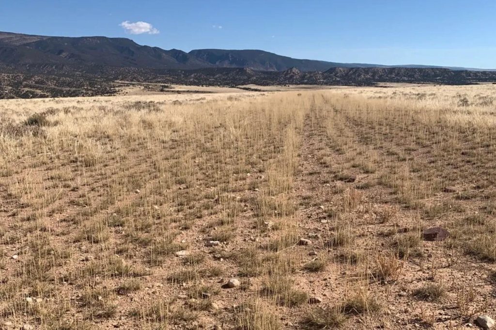 Before and after the airstrip reopening. [Credit: RAF]