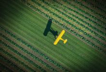 A J-3 Cub enjoys a grass strip among a field of crops in Wisconsin. [Credit: Jim Stevenson]