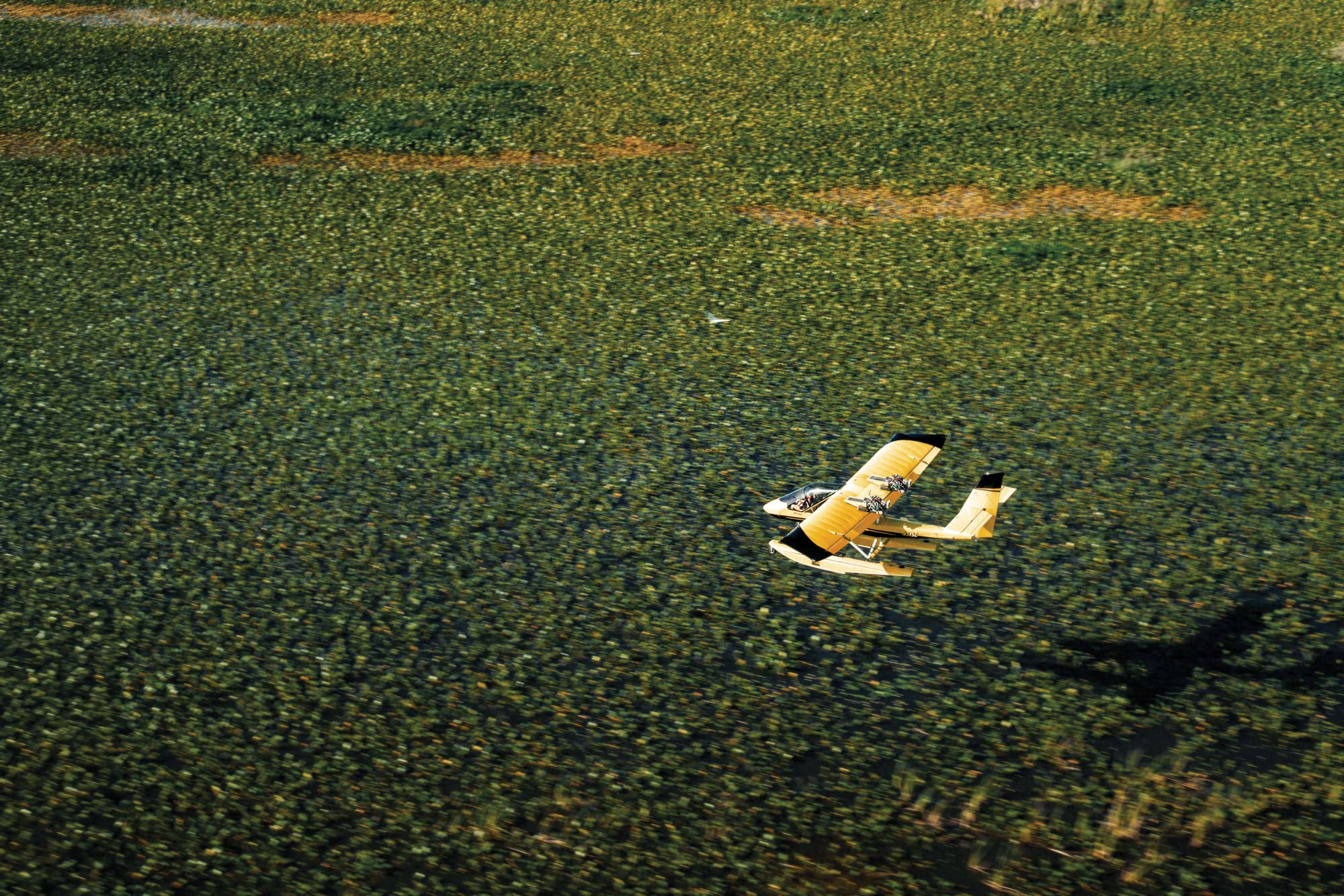 Lockwood Aero’s AirCam flies low and slow over the marsh in Sebring, Florida. [Credit: Jon Whittle]