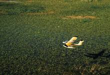 Lockwood Aero’s AirCam flies low and slow over the marsh in Sebring, Florida. [Credit: Jon Whittle]
