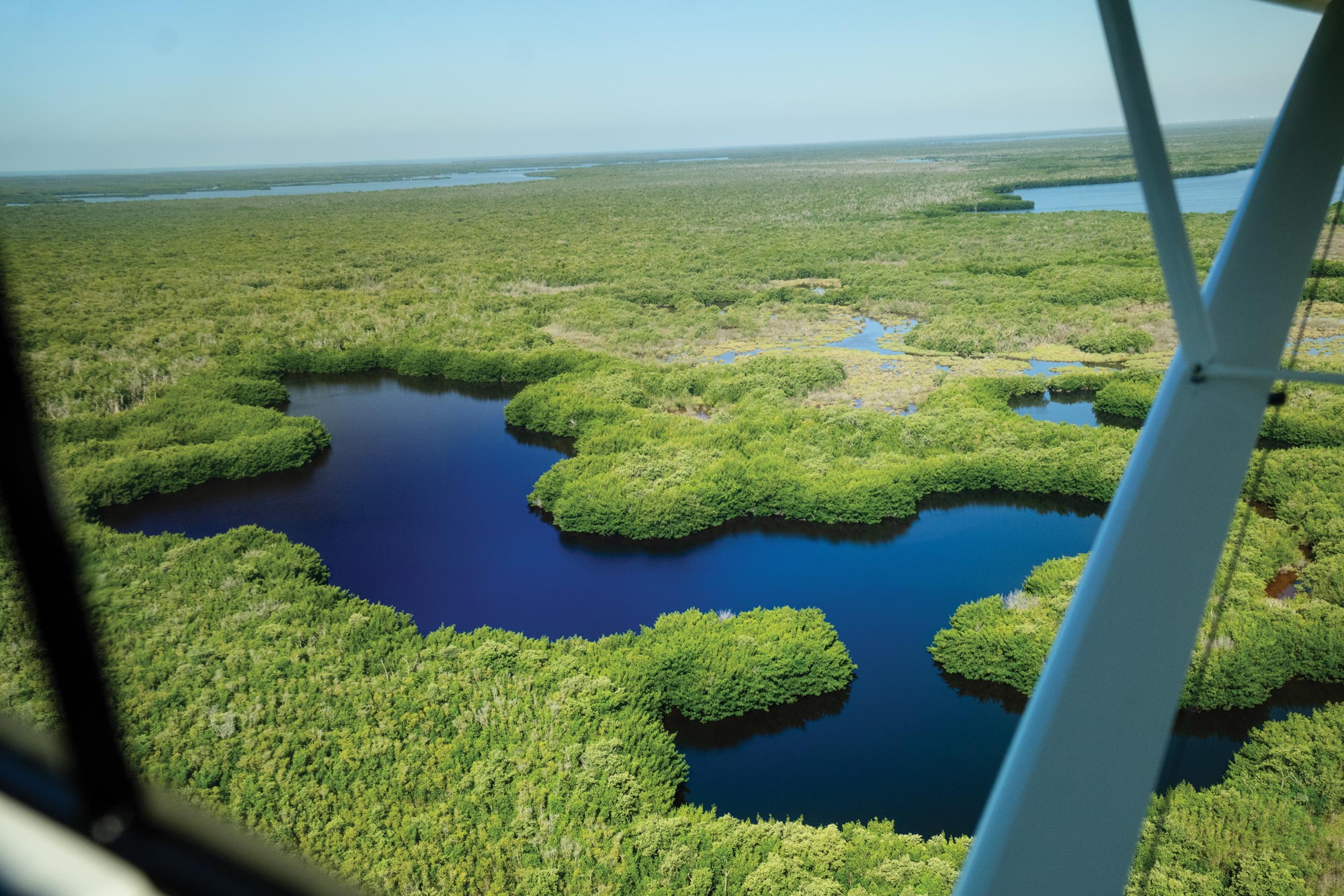 Florida Everglades from the air [Credit: Jon Whittle]