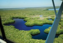 Florida Everglades from the air [Credit: Jon Whittle]