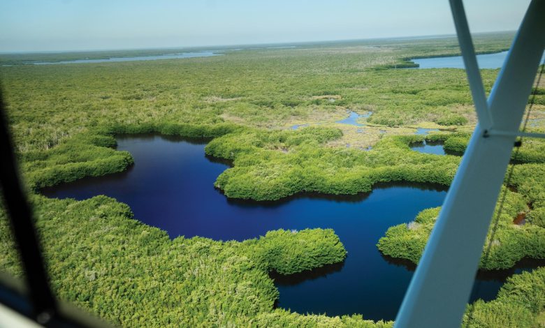 Florida Everglades from the air [Credit: Jon Whittle]