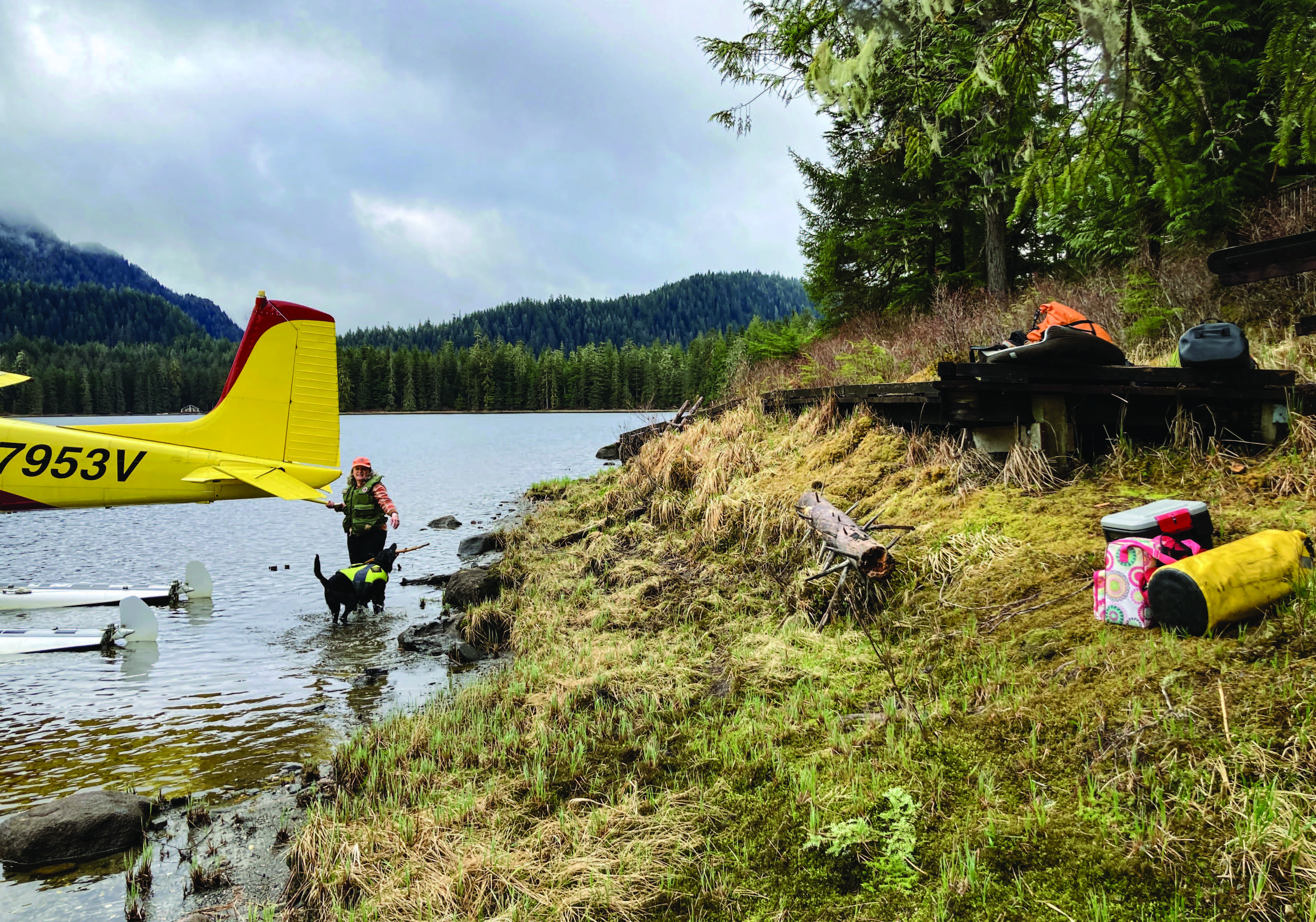 Dedicated RAF volunteers utilize compact track loaders and specialized hand tools to clear overgrowth and repair rutted surfaces, ensuring that vital backcountry airstrips remain safe. [Credit: Stef Goza]