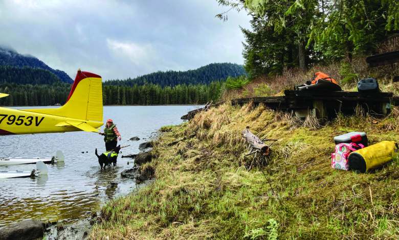 Dedicated RAF volunteers utilize compact track loaders and specialized hand tools to clear overgrowth and repair rutted surfaces, ensuring that vital backcountry airstrips remain safe. [Credit: Stef Goza]