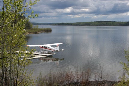deHavilland Beaver